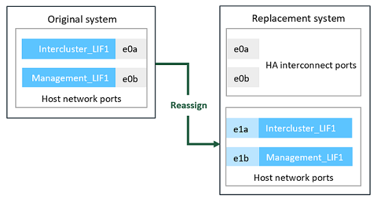 Riassegnazione di LIF alle porte di rete del sistema sostitutivo