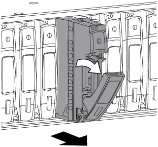 Rimozione dei dischi nello shelf di dischi DS224C