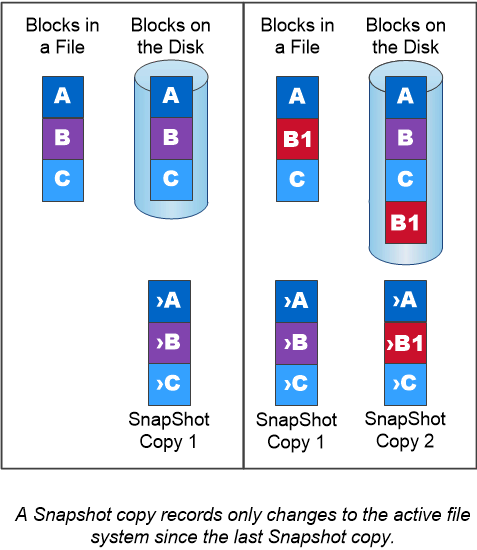 Modalità di registrazione delle modifiche da parte di Snapshot al file system attivo a partire dall'ultima copia Snapshot