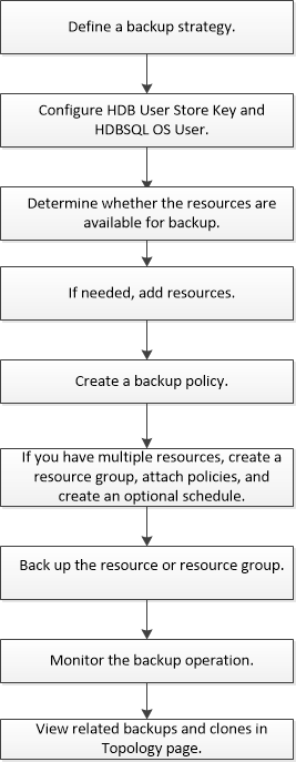 Workflow di backup SAP_HANA