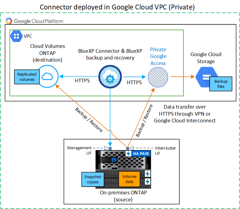 BlueXPのバックアップとリカバリが、クラスタ上のボリュームおよびバックアップファイルが配置されているGoogle Cloudストレージとのプライベート接続を介して通信する仕組みを示す図。