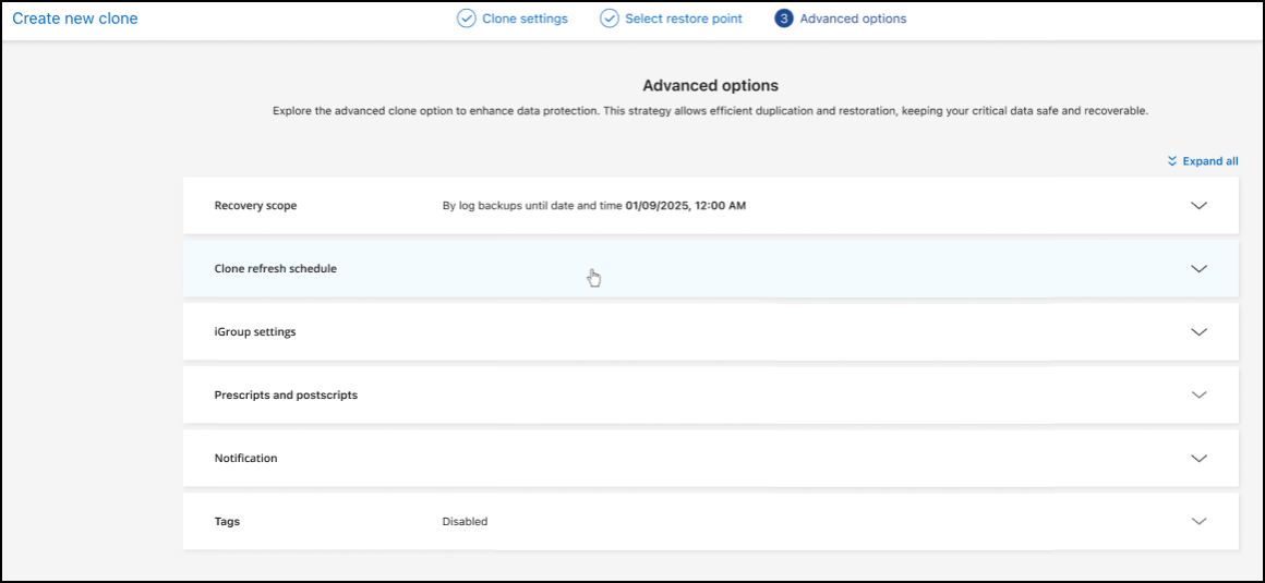 BlueXP backup and recoveryでインスタントスナップショットとクローンを作成するための詳細設定