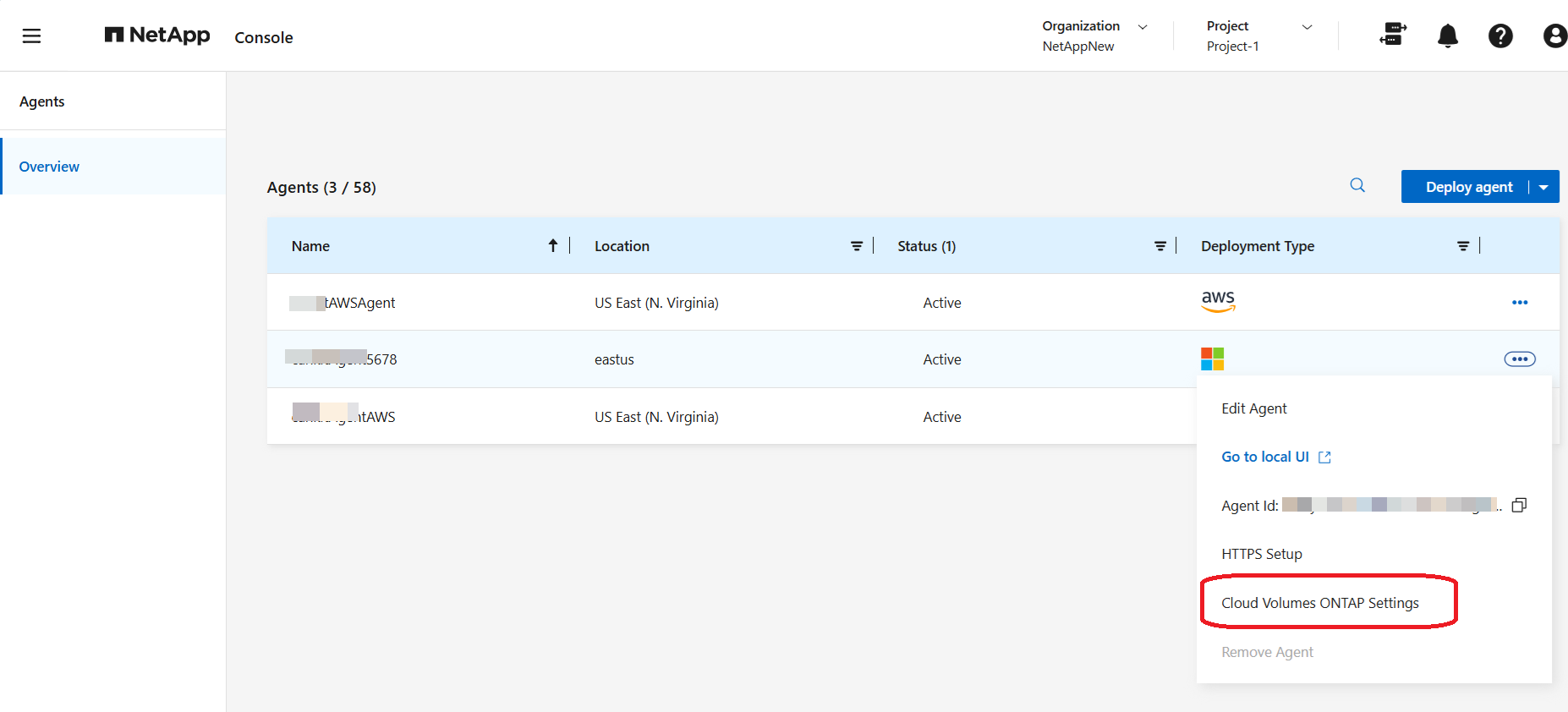 [設定]アイコンの下のCloud Volumes ONTAP設定オプションのスクリーンショット。