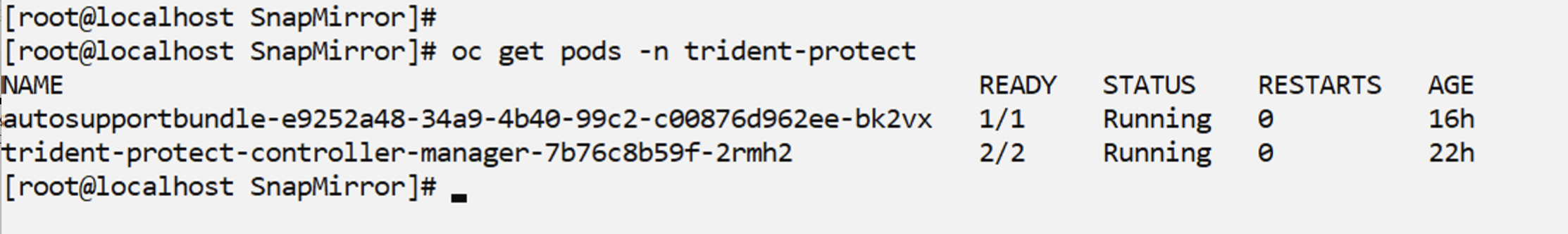 Trident-Protect 네임스페이스에 OCP-v Trident Protect가 설치되어 있습니다