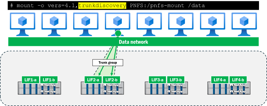 ONTAP 의 NFSv4.1 세션 트렁킹