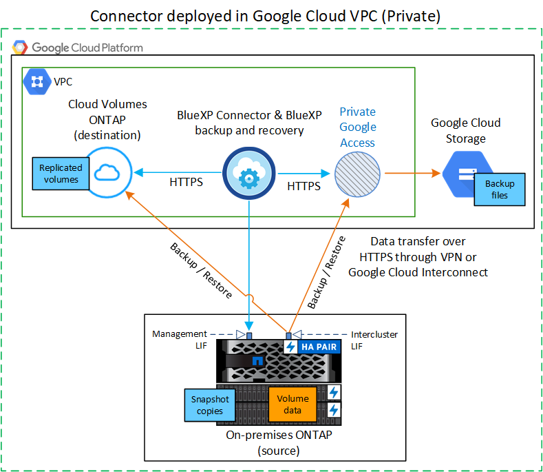 Um diagrama mostrando como o backup e a recuperação do BlueXP  se comunicam por meio de uma conexão privada com os volumes no cluster e no storage do Google Cloud onde os arquivos de backup estão localizados.