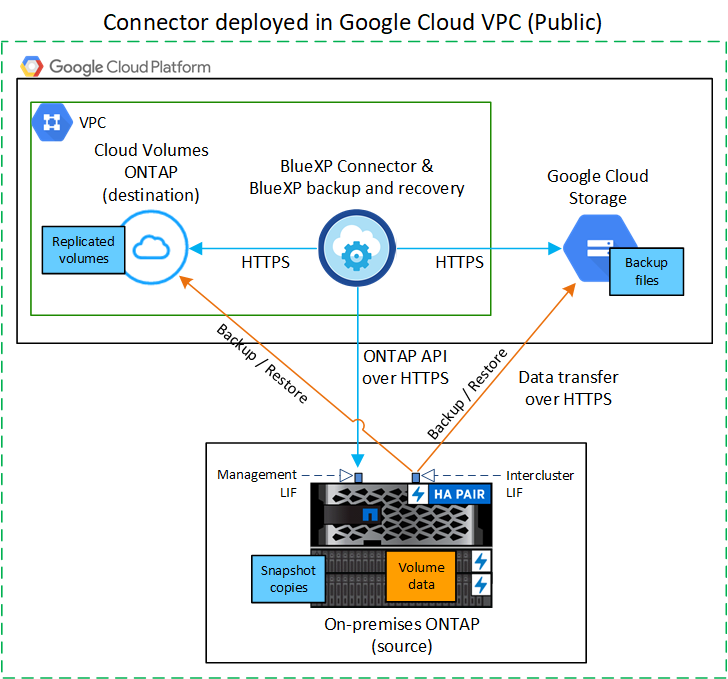 Um diagrama mostrando como o backup e a recuperação do BlueXP  se comunicam por meio de uma conexão pública com os volumes no cluster e com o storage do Google Cloud onde os arquivos de backup estão localizados.