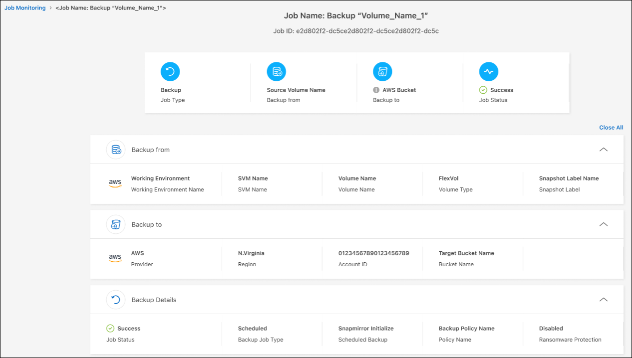 Uma captura de tela mostrando os detalhes do trabalho de backup