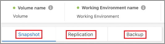 Uma captura de tela que mostra a lista de todos os arquivos de backup para um único volume: Cópias Snapshot, volumes replicados ou backups no storage de objetos.