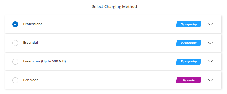 Uma captura de tela da opção profissional ao criar um ambiente de trabalho do Cloud Volumes ONTAP.