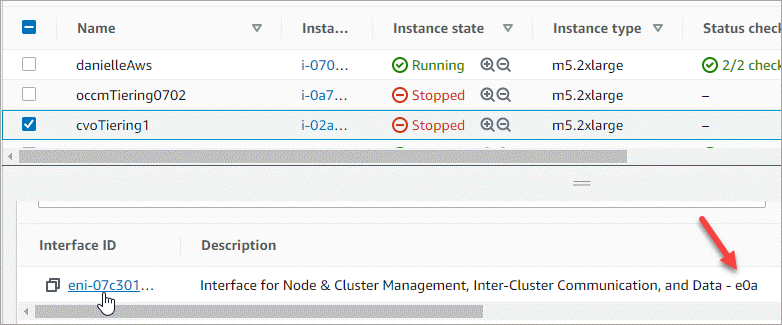 Uma captura de tela do Console da AWS que mostra a porta e0a em uma interface de rede.