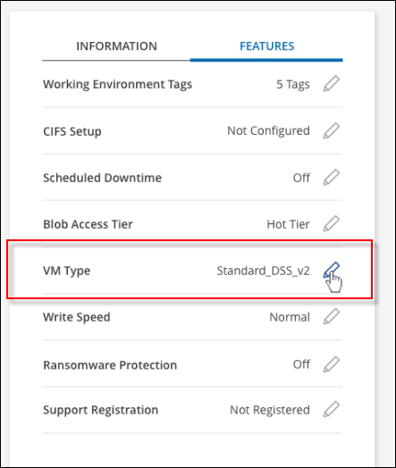 Uma captura de tela que mostra a configuração do tipo de VM no painel recursos disponível no canto superior direito da página Visão geral ao exibir um ambiente de trabalho.