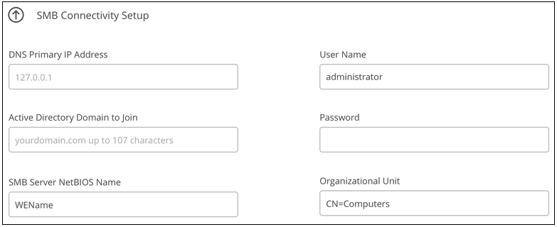 Uma captura de tela que mostra a página de volume preenchida para um volume SMB Cloud Volumes Service.