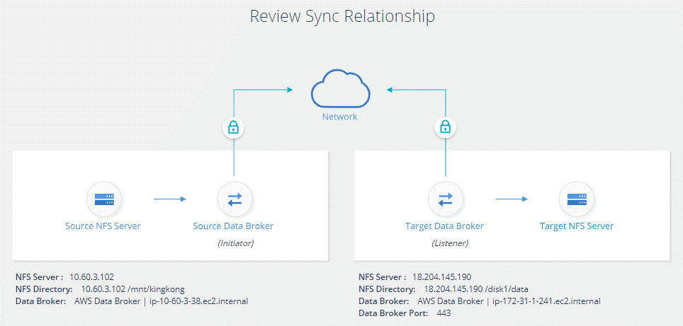 Uma captura de tela mostrando a tela de revisão. Ele mostra os servidores NFS, corretores de dados e informações de rede sobre cada um.