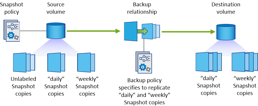 Esta ilustração mostra uma política Snapshot, um volume de origem, as cópias Snapshot criadas a partir da política Snapshot e, em seguida, a replicação dessas cópias Snapshot para um volume de destino com base em uma política de backup, que especifica a replicação das cópias Snapshot com os rótulos "diário" e "semanal"