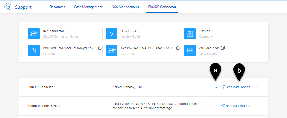 Uma captura de tela do Painel de suporte mostrando onde os usuários podem selecionar para baixar e enviar mensagens do AutoSupport.