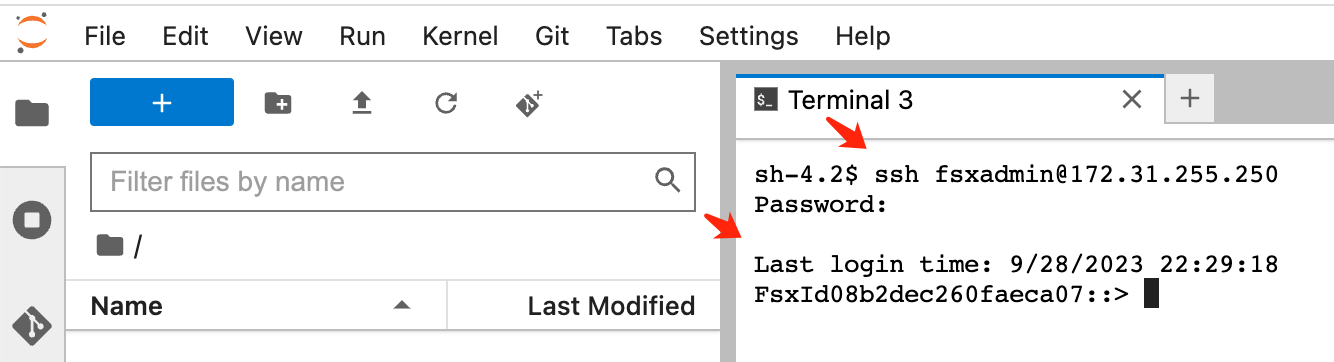 Terminal do Jupyter Lab