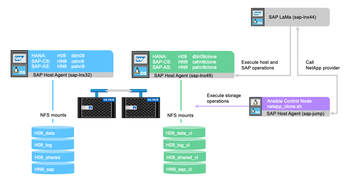 Esta imagem mostra os vários agentes de host SAP e como eles interagem com o armazenamento do NetApp por meio de montagens NFS. A instância do SAP lama também é representada.