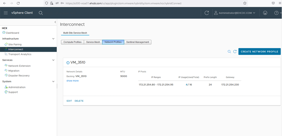 Captura de tela da adição de endereços IP à página do vSphere Client Interconnect.