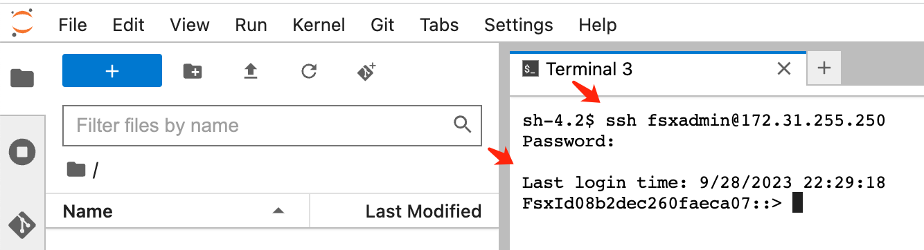 Terminal Jupyter Lab