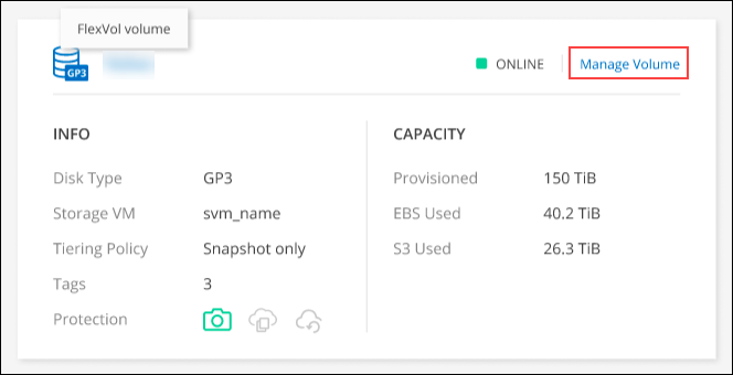 Uma captura de tela do botão Gerenciar Volume na aba Volumes.