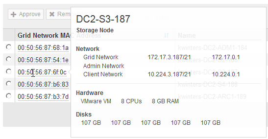 Captura de tela dos detalhes do Grid Node