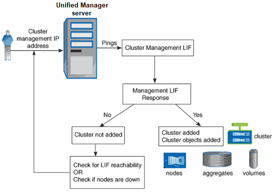 How the discovery process works