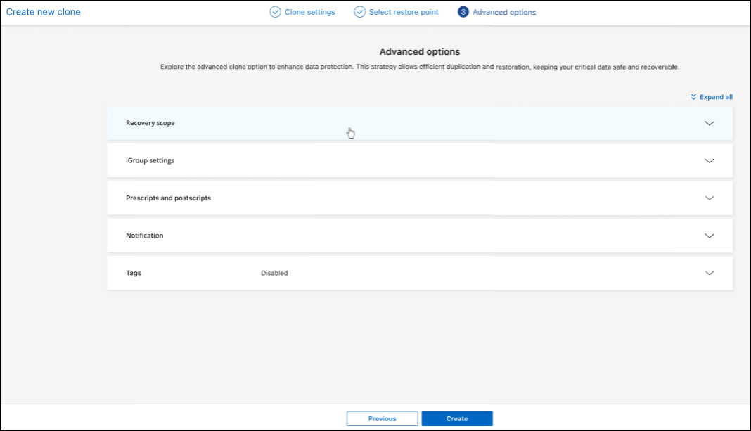 Advanced settings for creating a clone in BlueXP backup and recovery