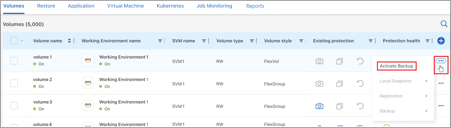 A screenshot showing how to activate backup on additional volumes in a working environment.