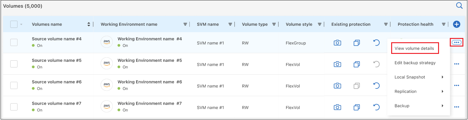 A screenshot that shows the View Volume Details button which is available for a single volume.
