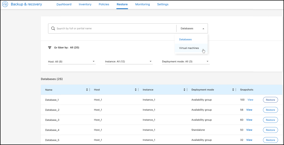 A screenshot showing the Restore page.