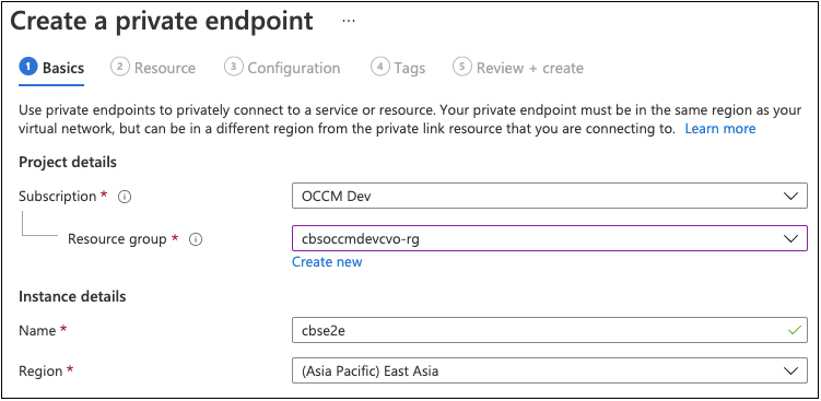 A screenshot showing the details of the private endpoint Basics page.