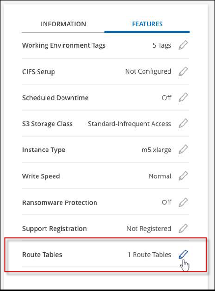A screenshot that shows the Route tables setting under the Features panel available in the top right of the Overview page when viewing a working environment.