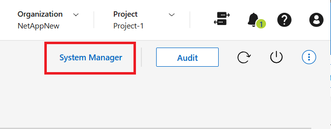 A screenshot showing the System Manager button.