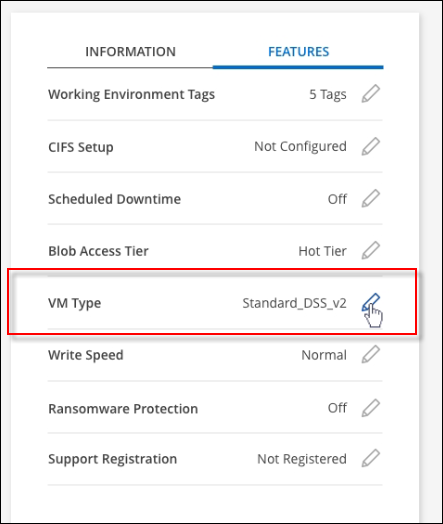 A screenshot that shows the VM type setting under the Features panel available in the top right of the Overview page when viewing a working environment.
