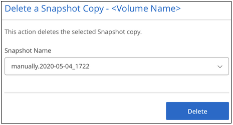 Screenshot of selecting the snapshot copy to be deleted