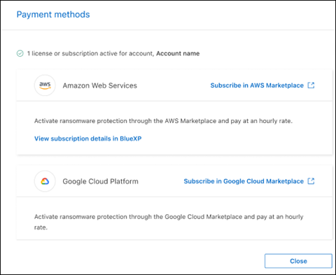 The BlueXP ransomware protection Payment methods page