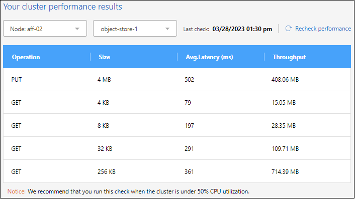 A screenshot of cluster performance results for a Cloud Performance Test.