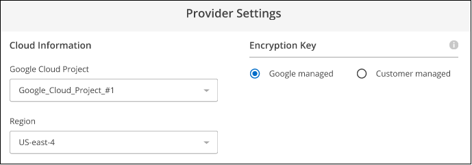 A screenshot that shows the cloud provider details when backing up volumes from a Cloud Volumes ONTAP system installed on GCP to a Google Cloud Storage bucket.
