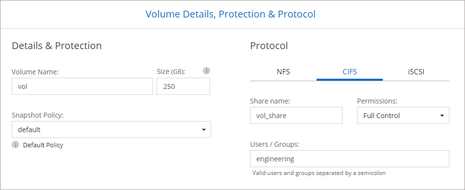 Screen shot: Shows the Volume page filled out for a Cloud Volumes ONTAP instance.