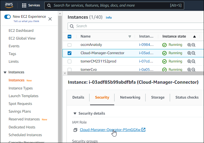A screenshot of the AWS console that shows the name of the IAM role in the Security tab.