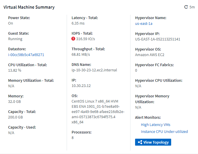 Summary Section Example