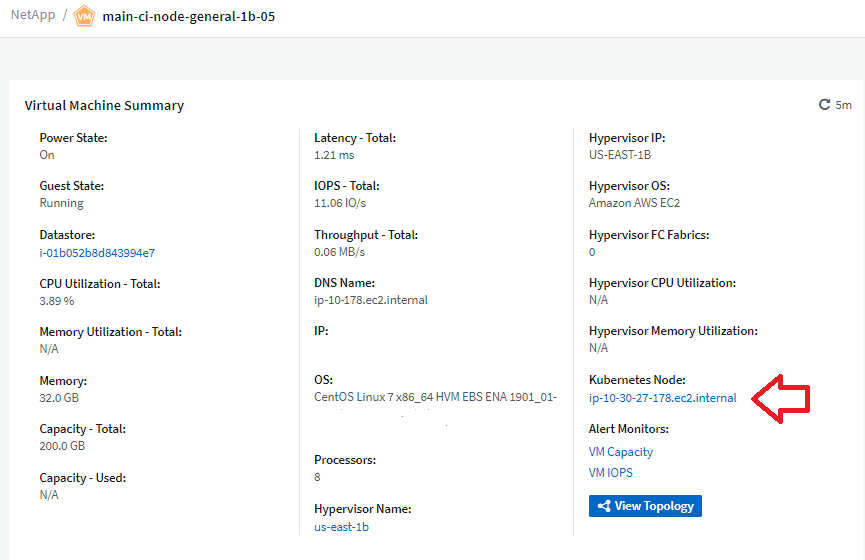 Kubernetes VM Page showing Node link