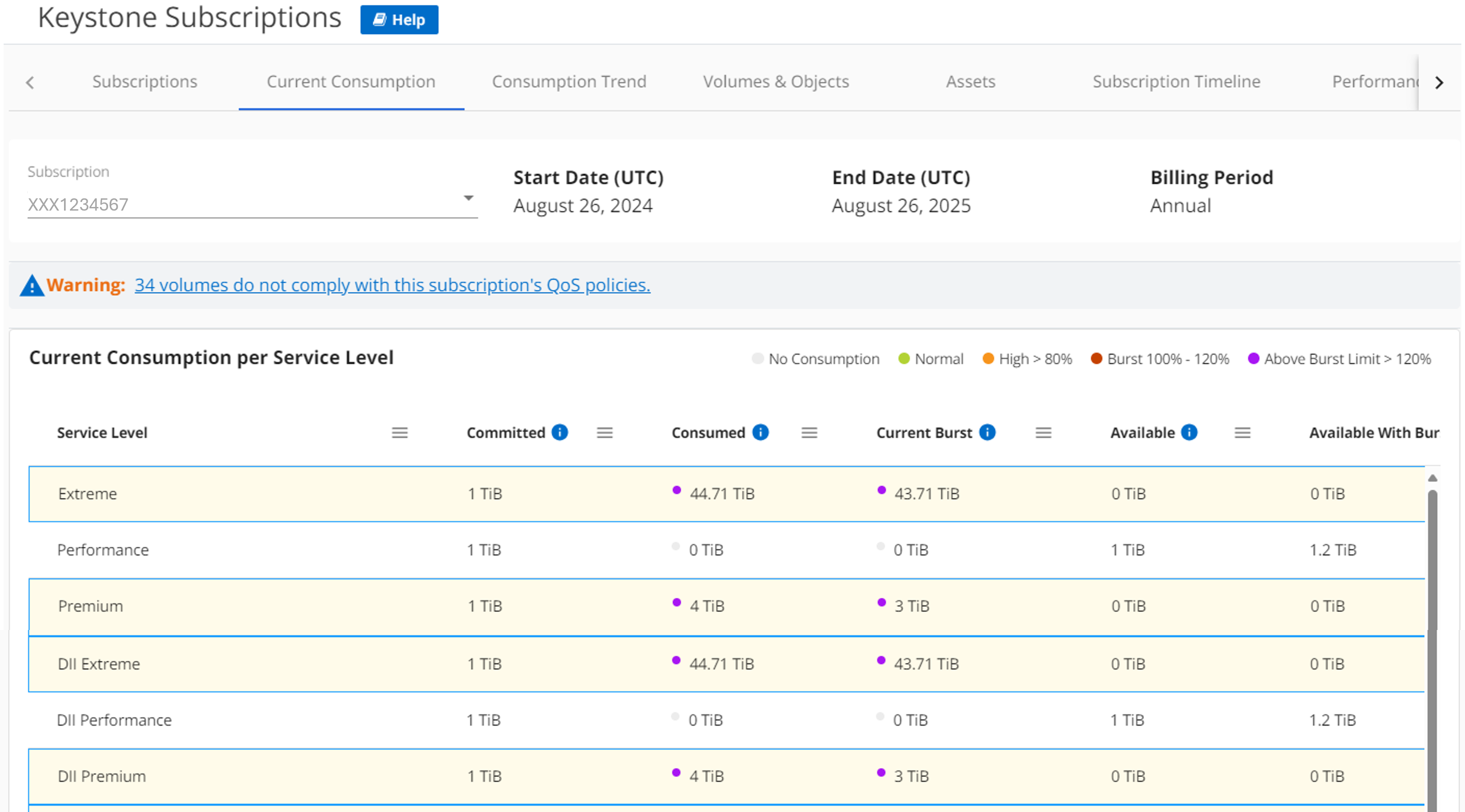 Screenshot of the current consumption tab displaying the metering of service levels