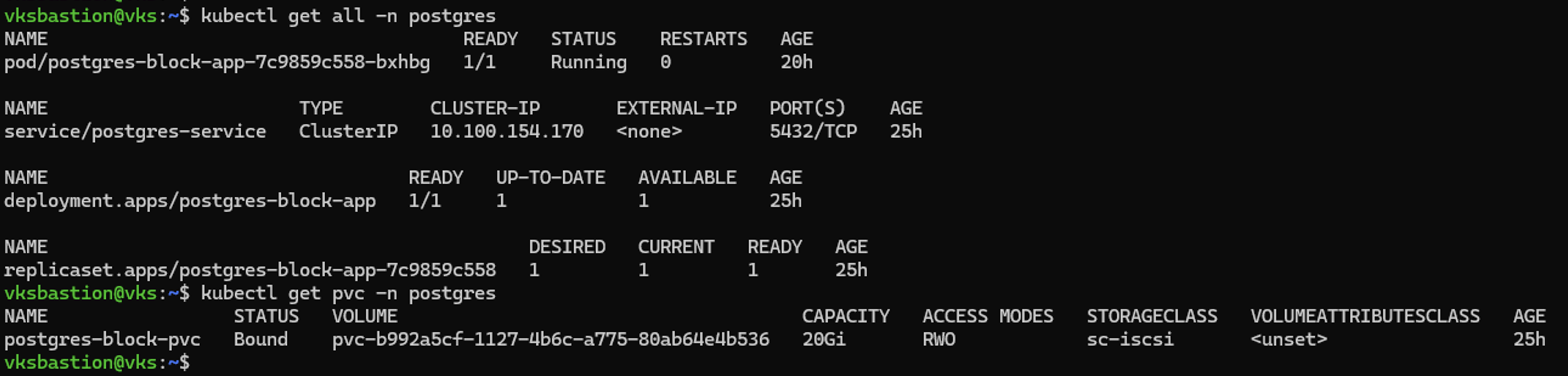 Workload deployed with persistent storage