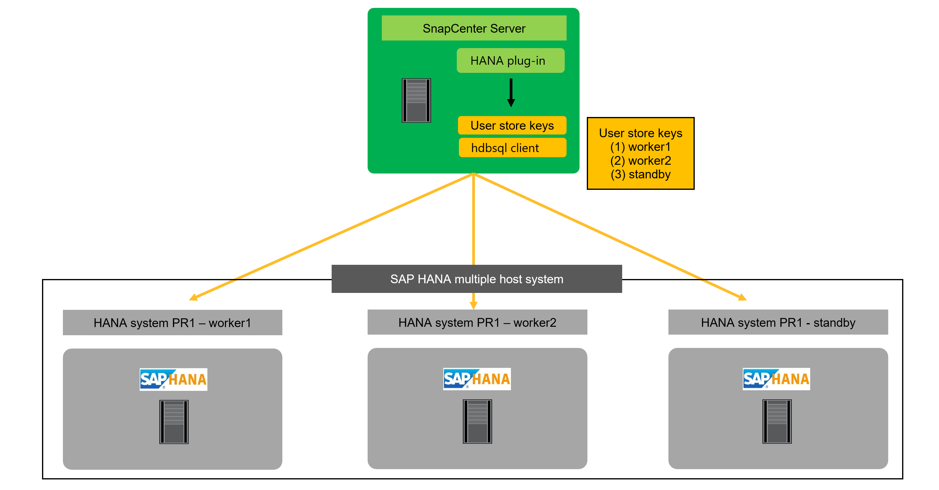 hana sc generic image 011