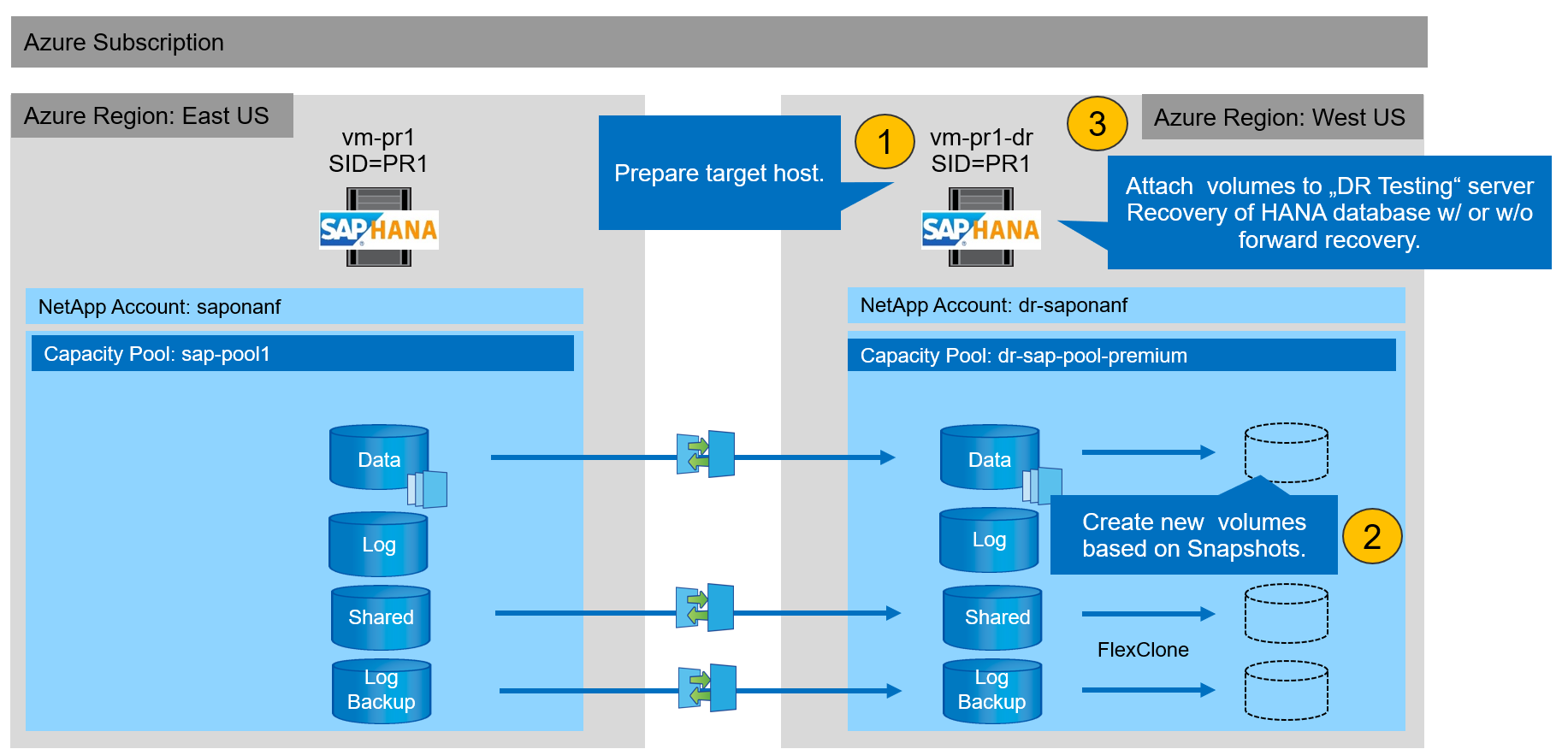 saphana dr anf image18