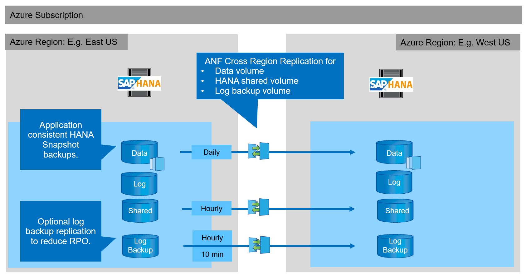 saphana dr anf image6