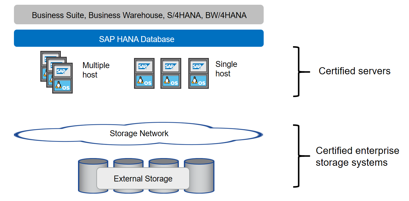 saphana fas nfs image1