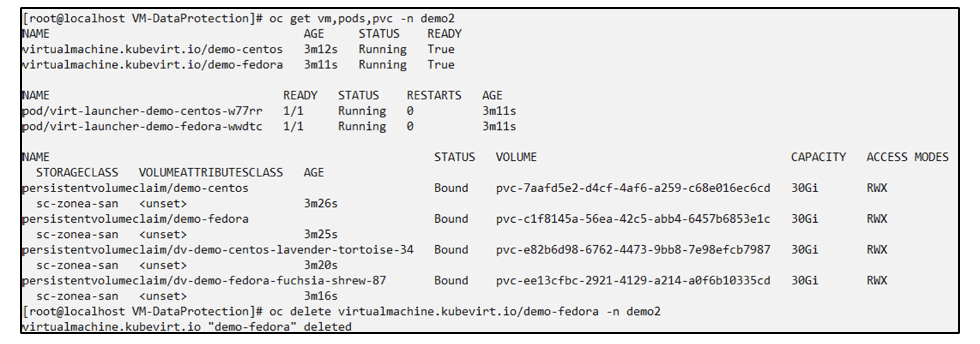 Delete VM